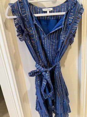 Karina Grimaldi Blue and Gold Striped Dress